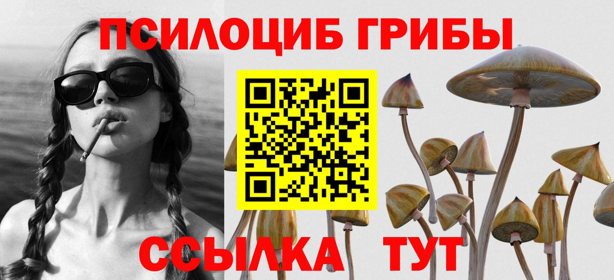 Наро-Фоминск  Галлюциногенные грибы Magic Shrooms  Вход с VPN 