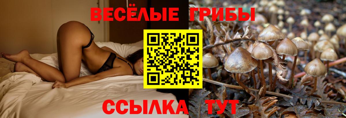 Галлюциногенные грибы Magic Shrooms Наро-Фоминск